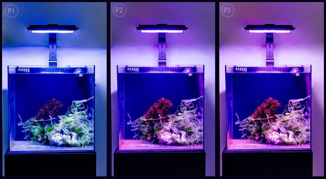 Maxspect Jump MJ-L230 LED - Refugium - 6
