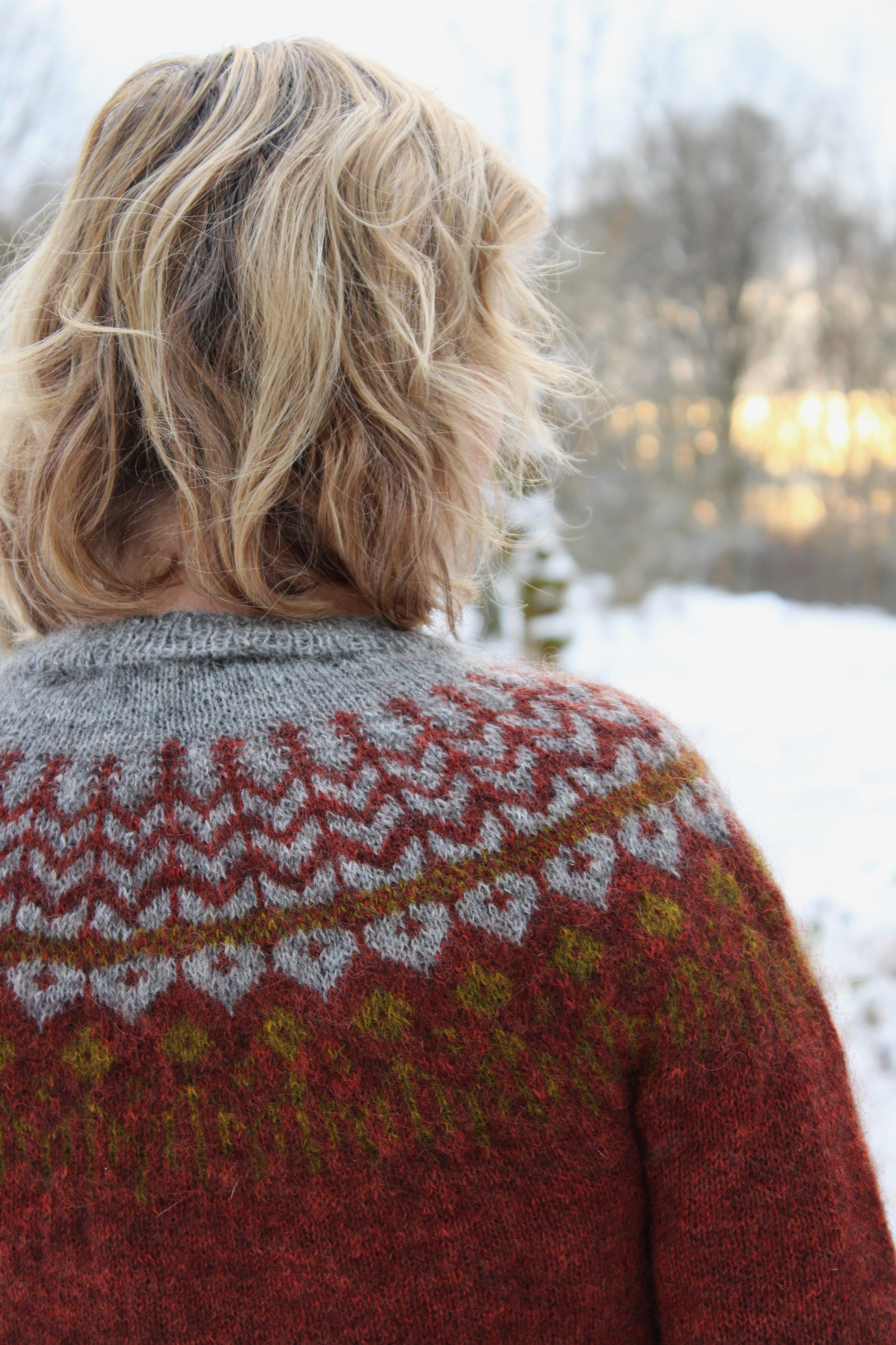 Yarn package Ringrostig Sweater - 4