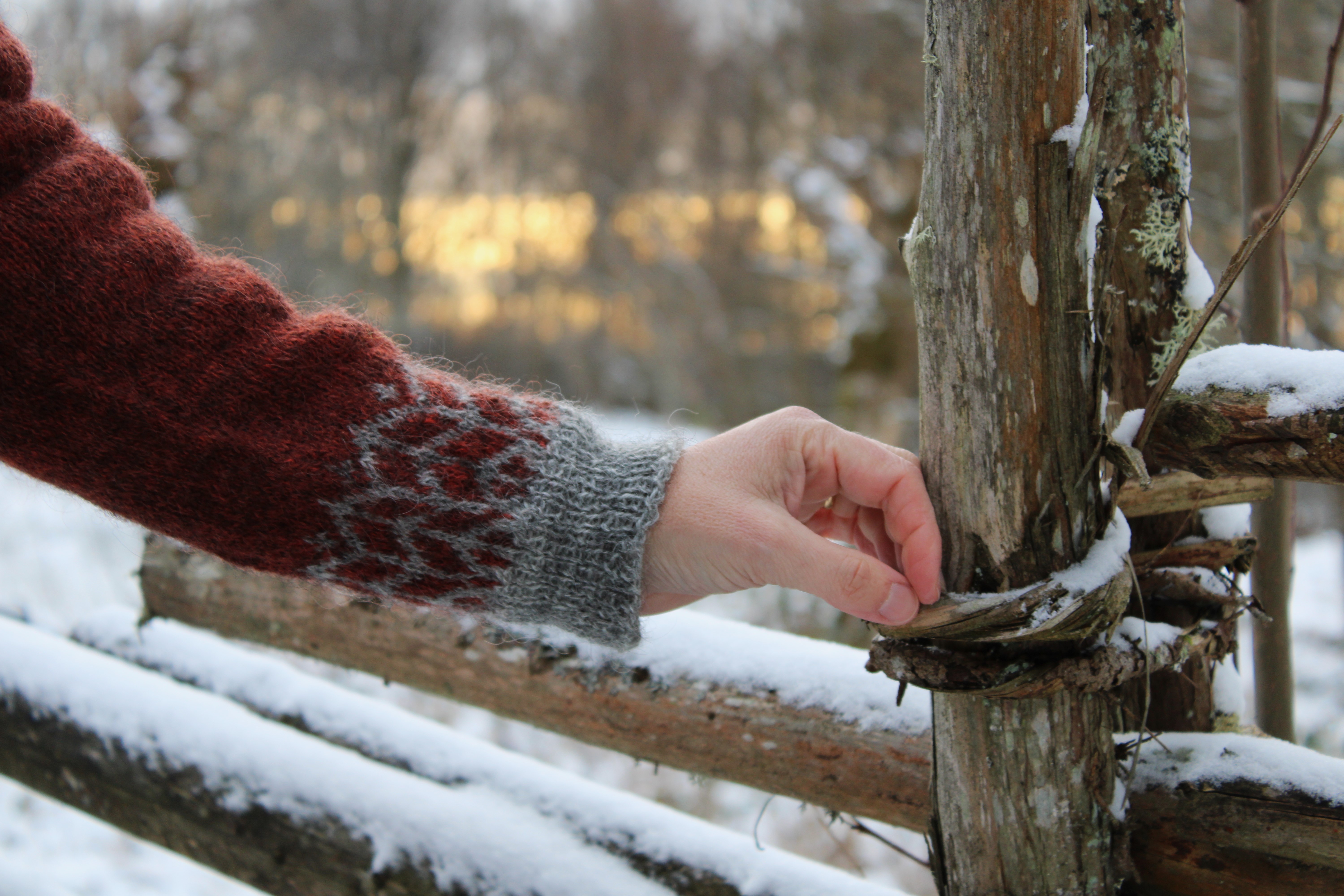 Yarn package Ringrostig Sweater - 3