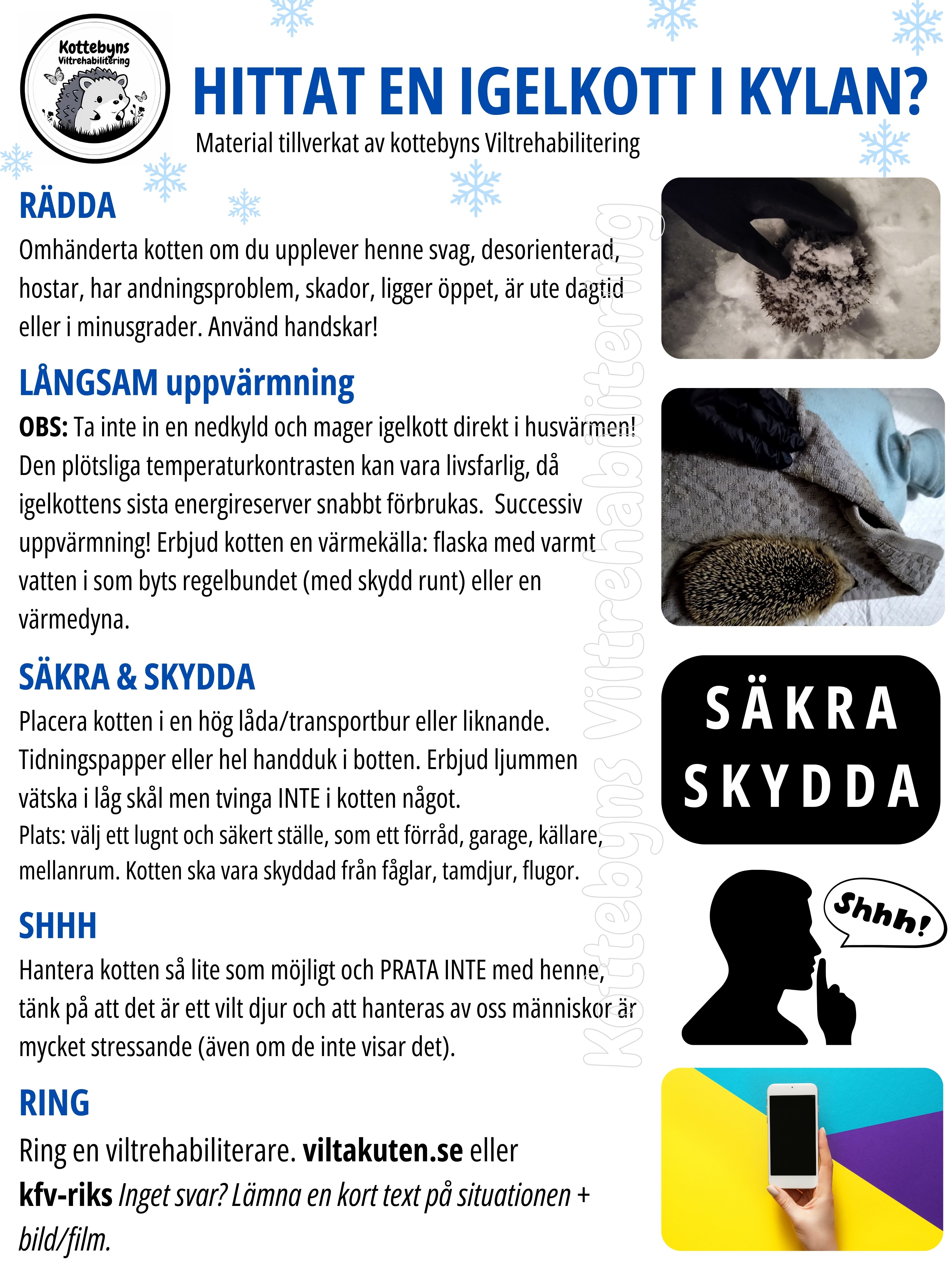 "Hittat en igelkott i kylan, vad ska jag göra?" - 4