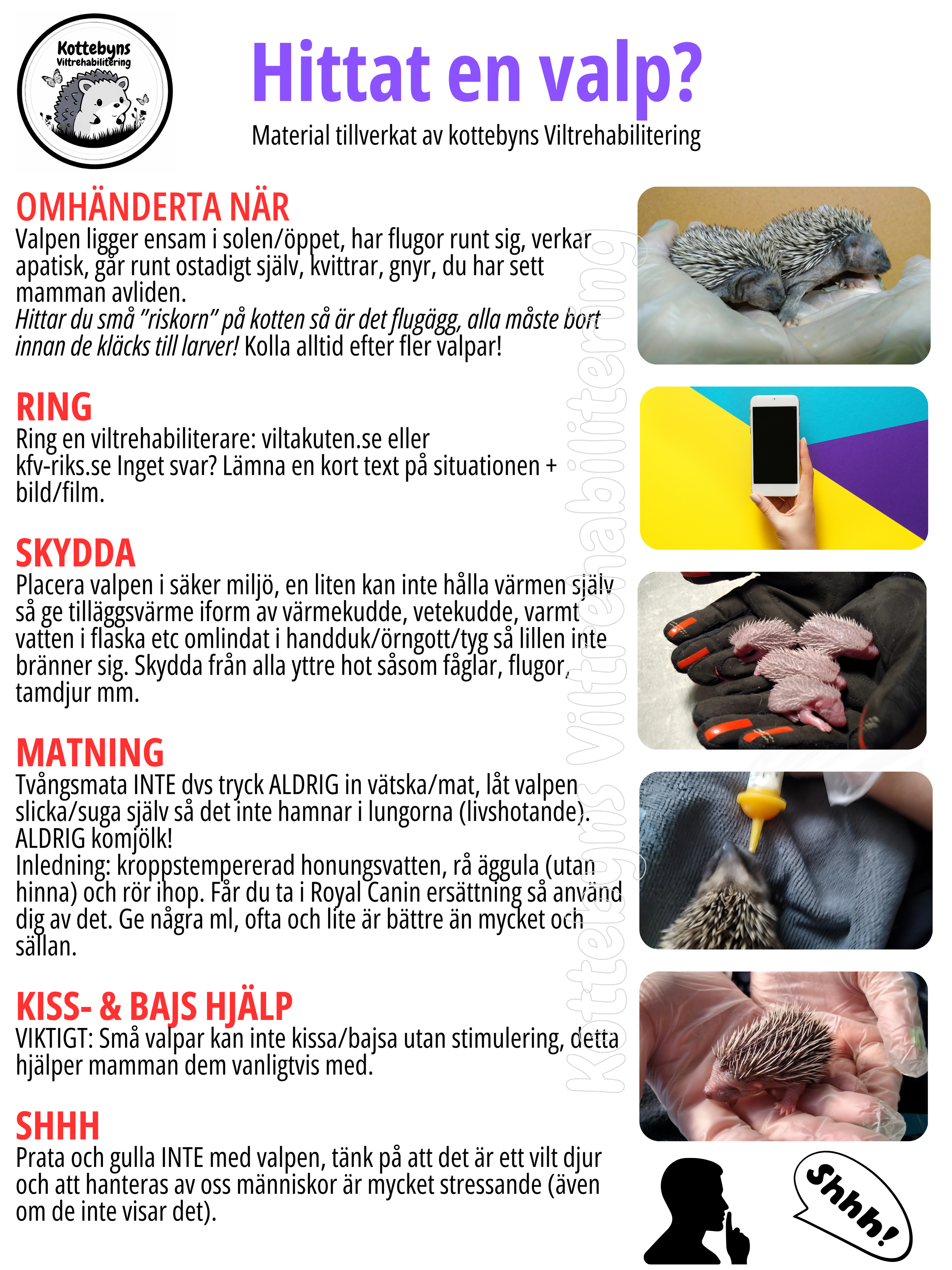 Hittat en valp/bebis i nöd