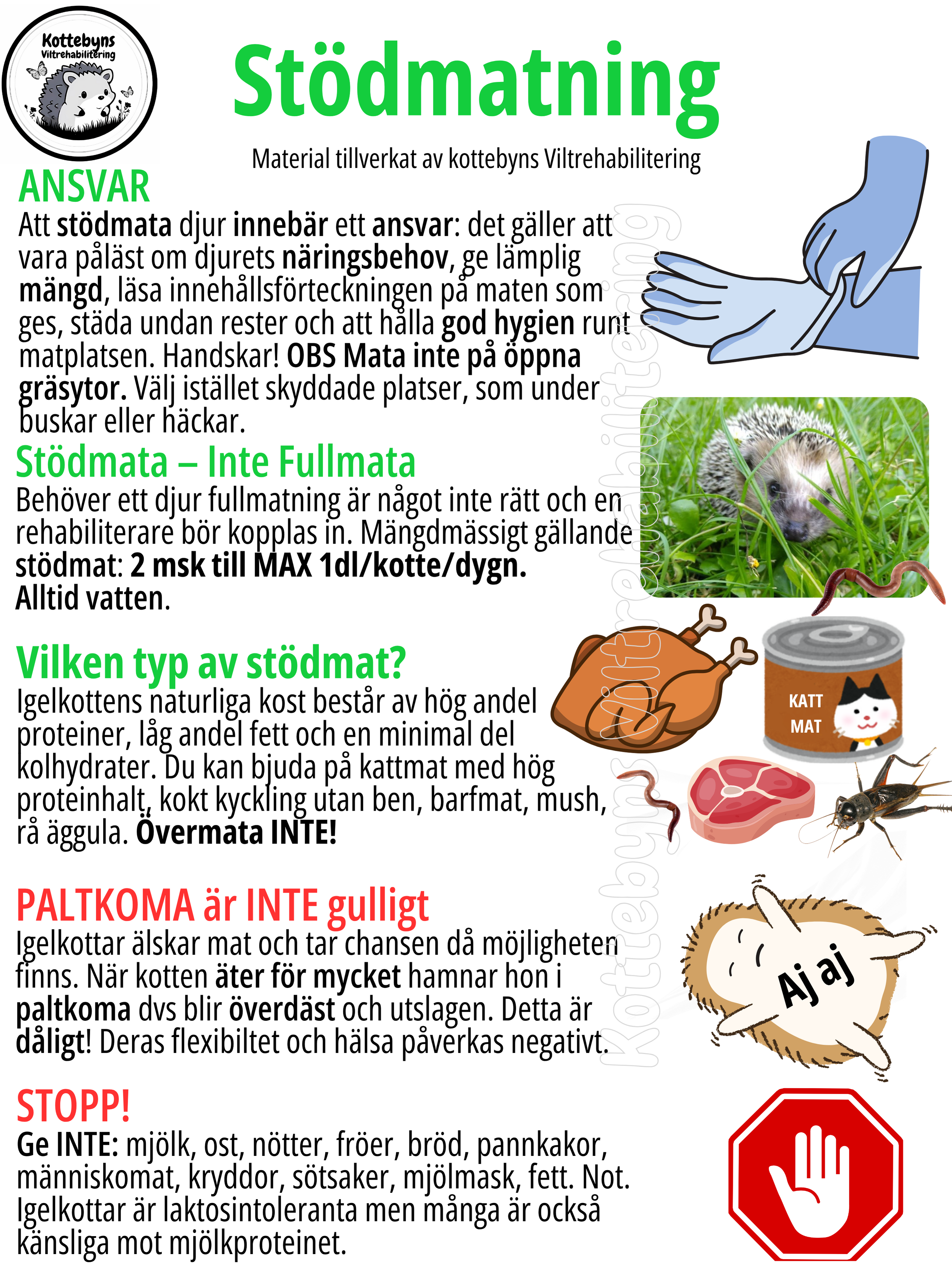 Kottar och stödmat