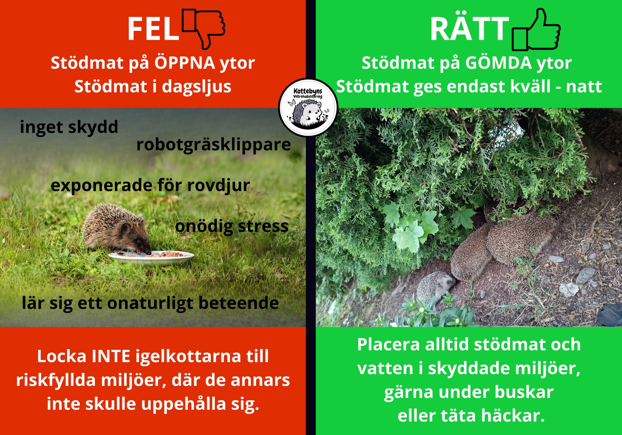 Kottar och stödmat - 2