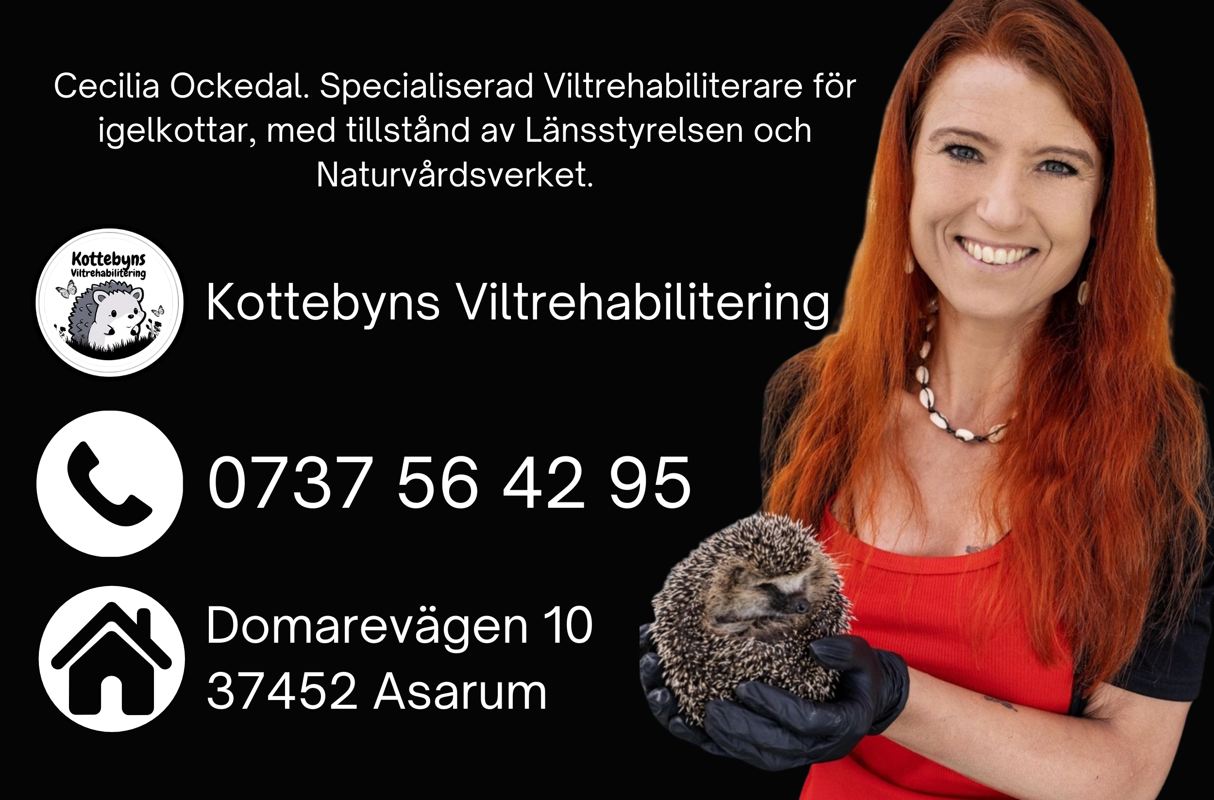 Kottebyn - 2