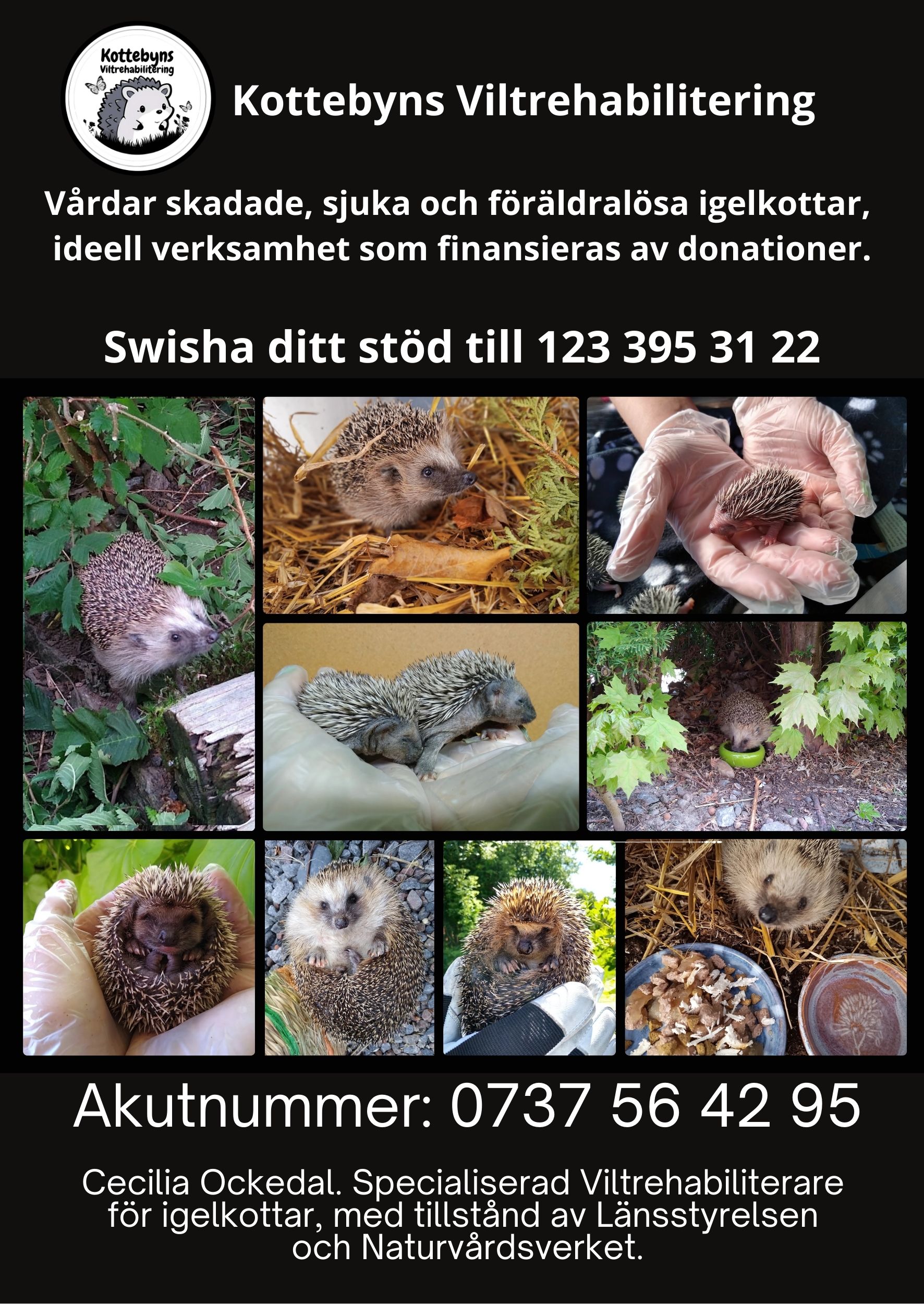 Kottebyn