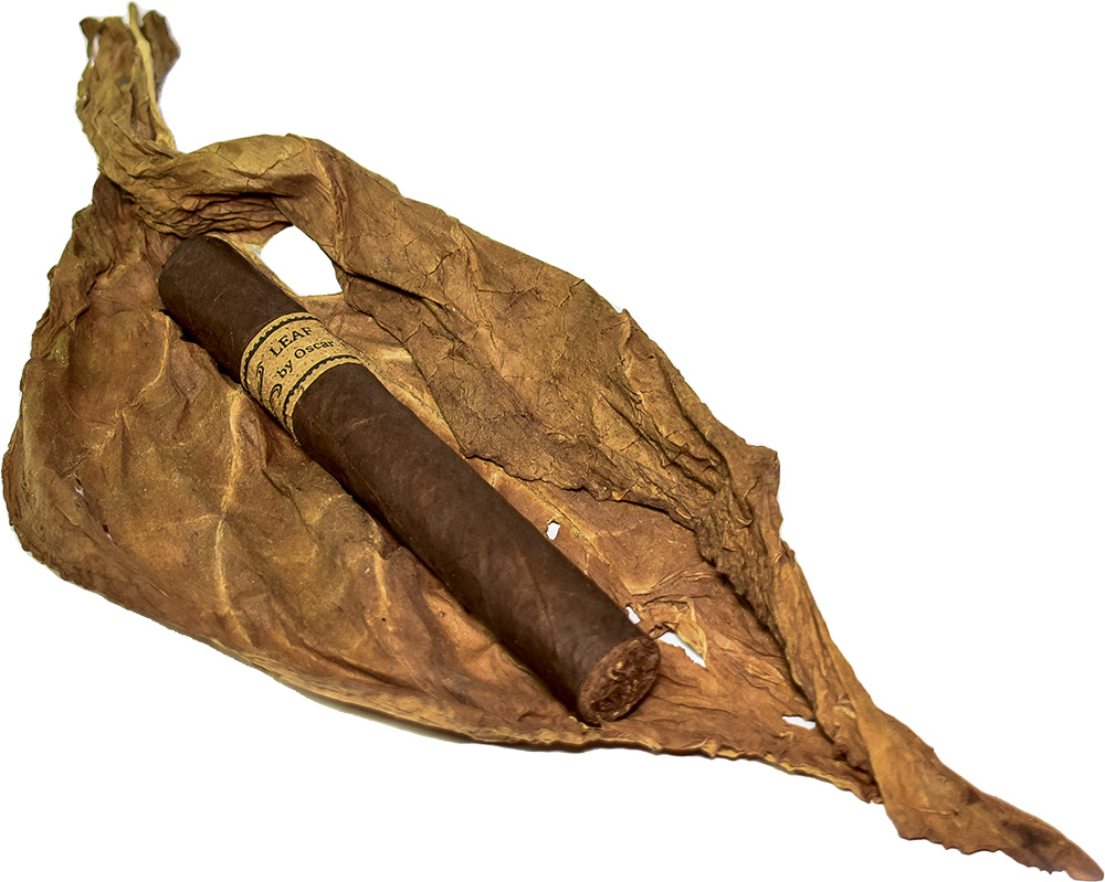 Leaf by Oscar Maduro Toro - 3