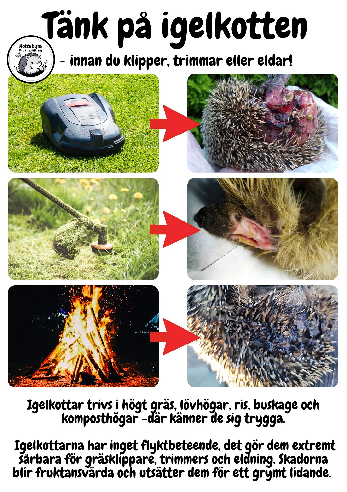 Skydda kotten i trädgården