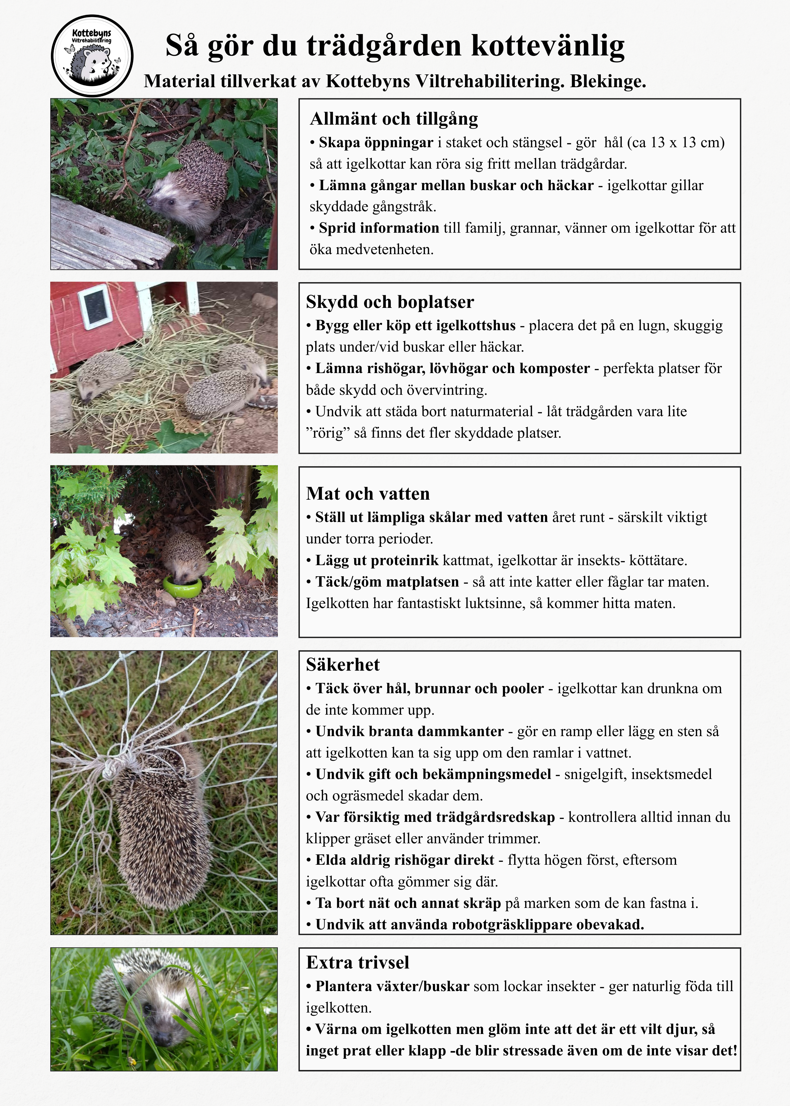 Skydda kotten i trädgården - 4