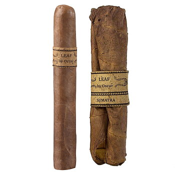 Leaf by Oscar Sumatra Toro