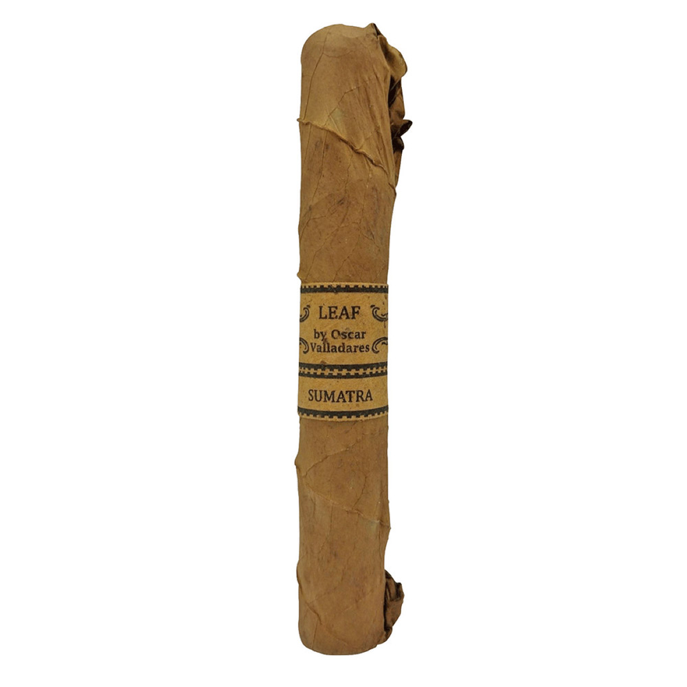 Leaf by Oscar Sumatra Toro - 2