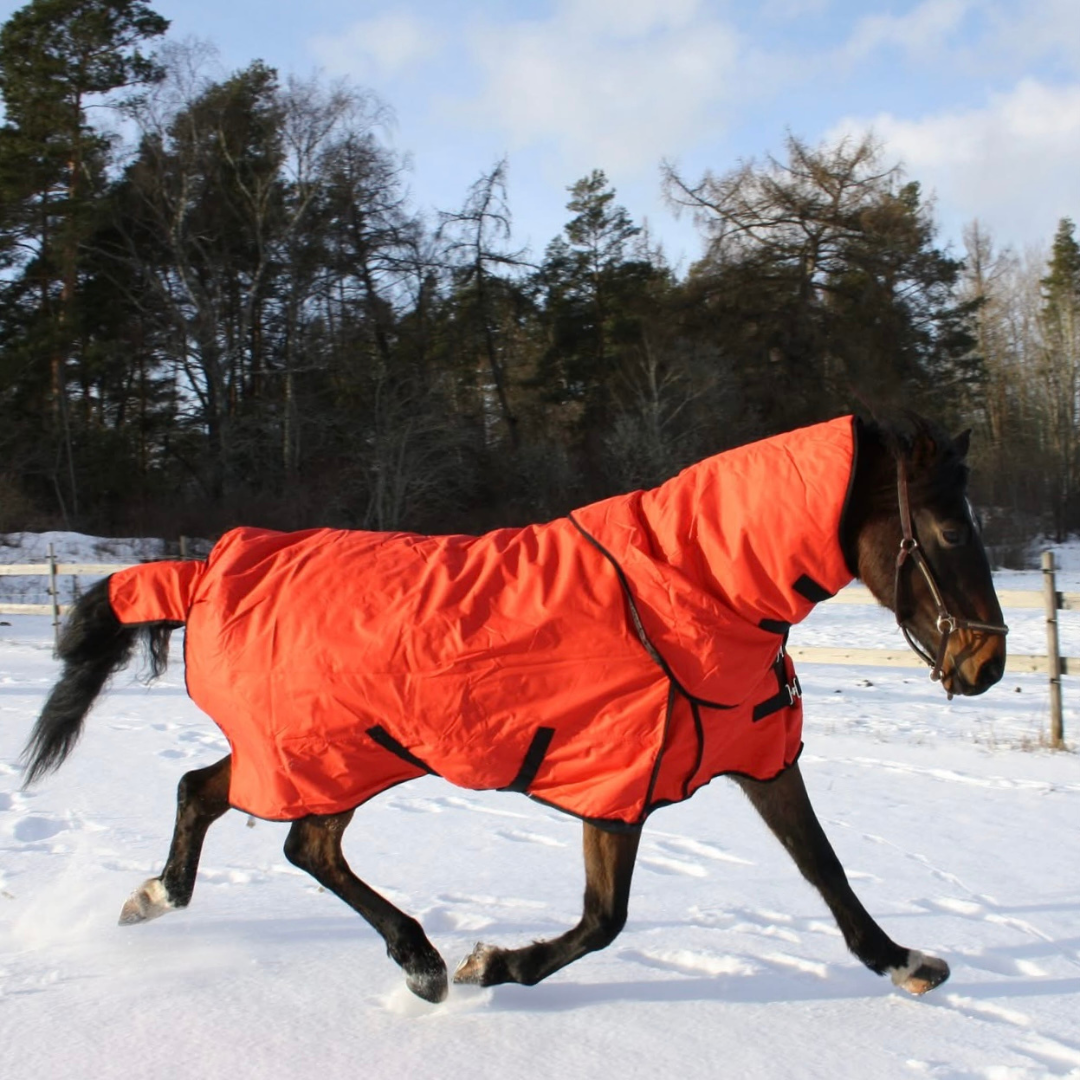 SWEDISH COLLECTION (LIPPO) 250GR OUTDOOR RUG 600D WITH REMOVABLE NECK - 2