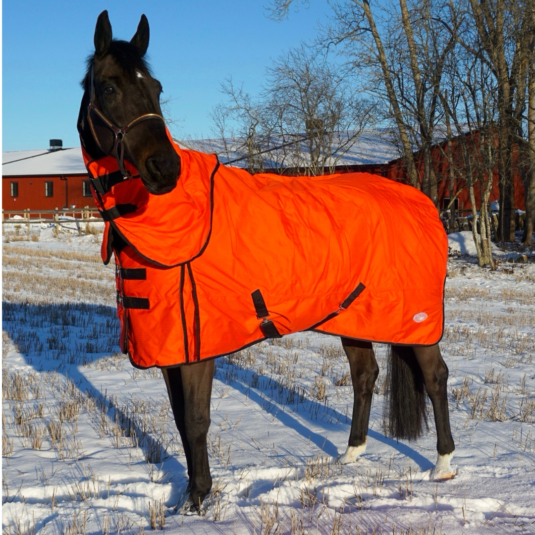 SWEDISH COLLECTION (LIPPO) 250GR PONY RUG 600D WITH REMOVABLE NECK