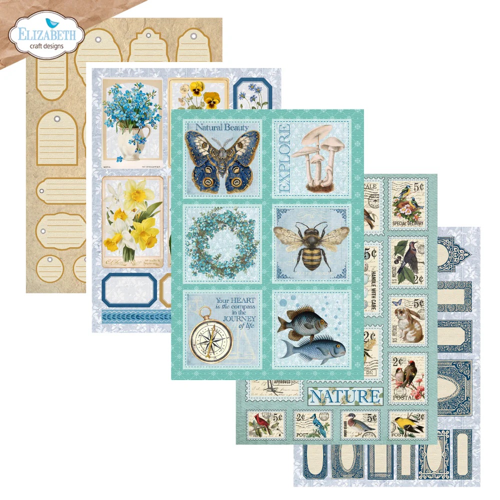 Elizabeth - Everyday Ephemera  - 5