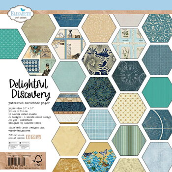 Elizabeth  -  Printed Cardstock -12x12 - Delightful Discovery