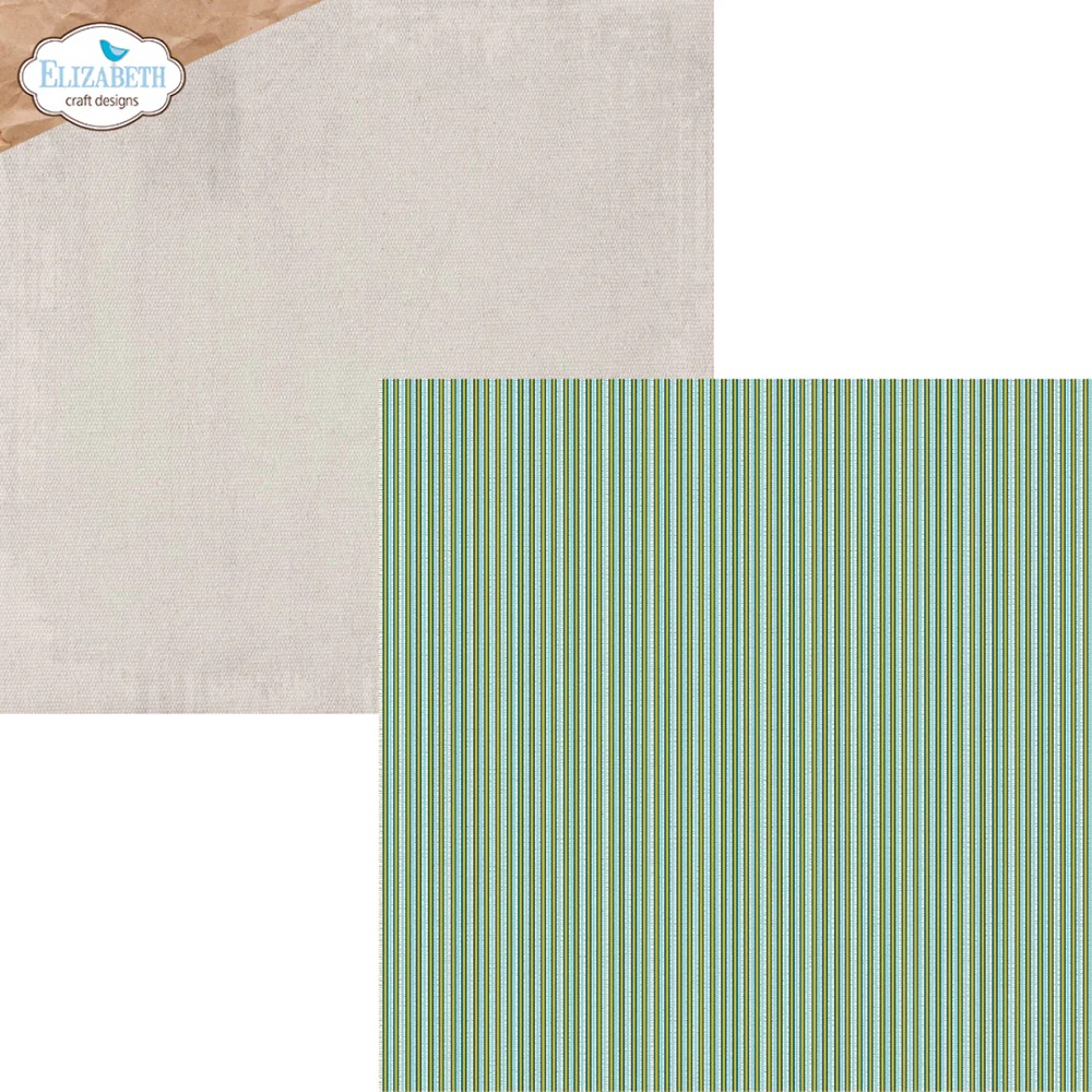 Elizabeth  -  Printed Cardstock -12x12 - Delightful Discovery - 10