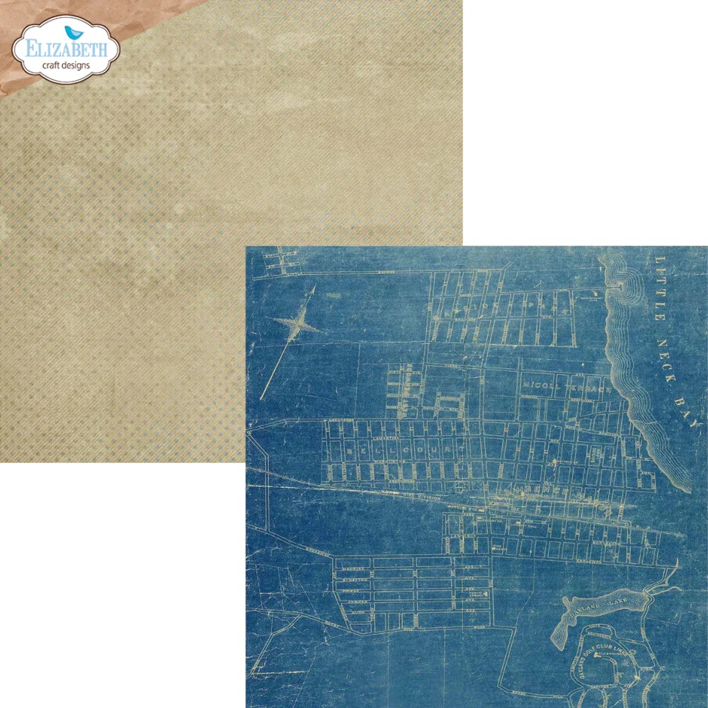 Elizabeth  -  Printed Cardstock -12x12 - Delightful Discovery - 4