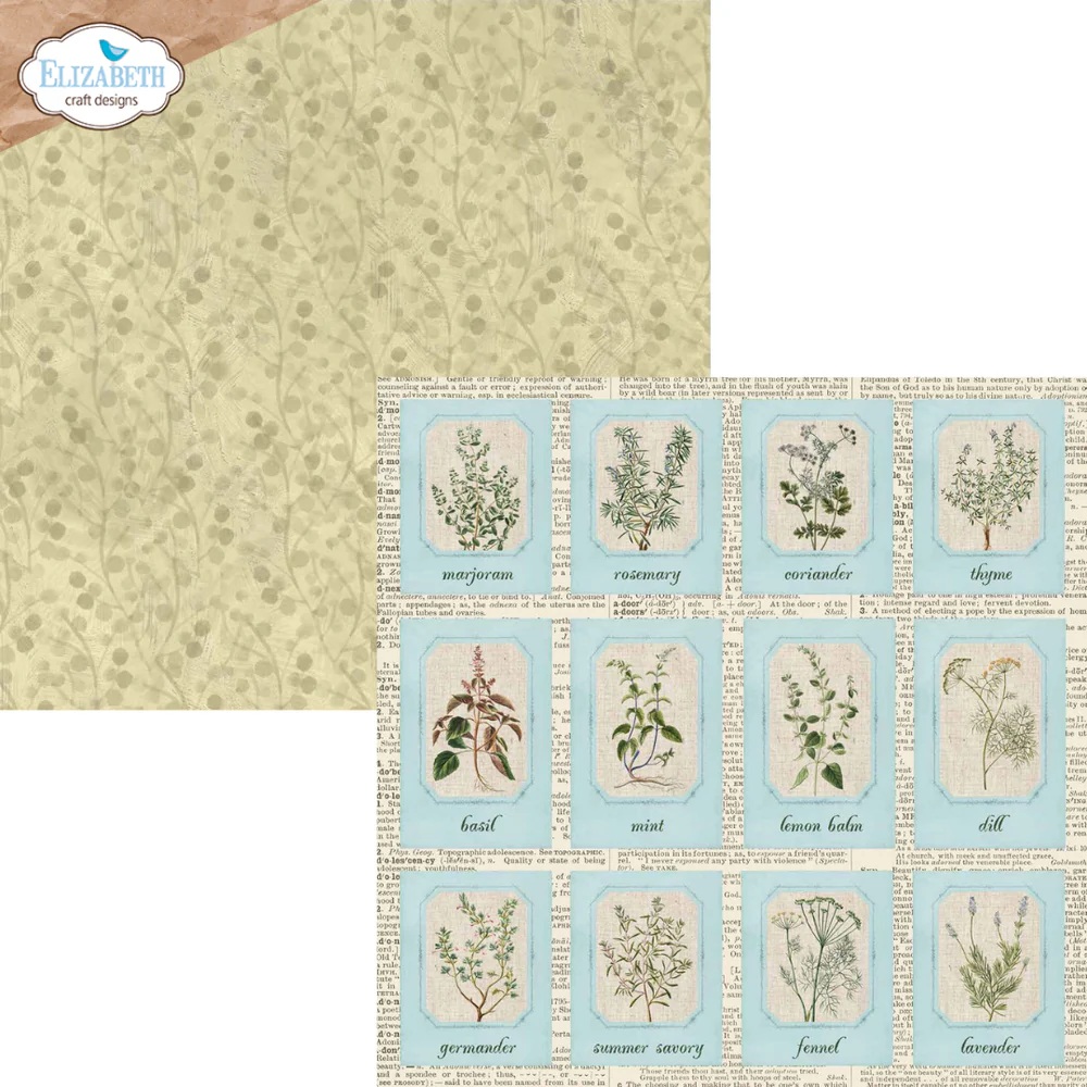 Elizabeth  -  Printed Cardstock -12x12 - Delightful Discovery - 9