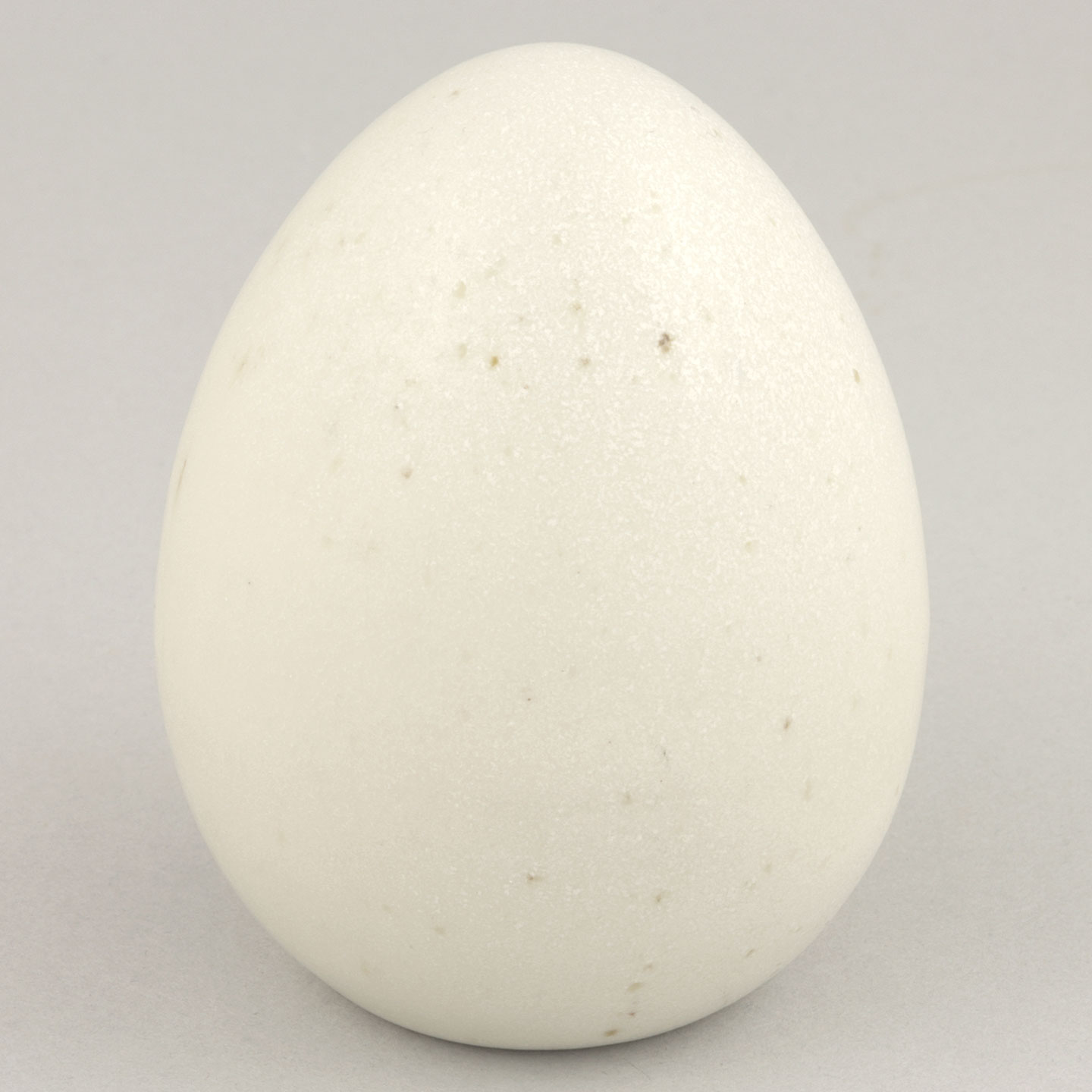 スヴェン・ヴァイスフェルト 一点もの 白い卵 (8cm) 1981年