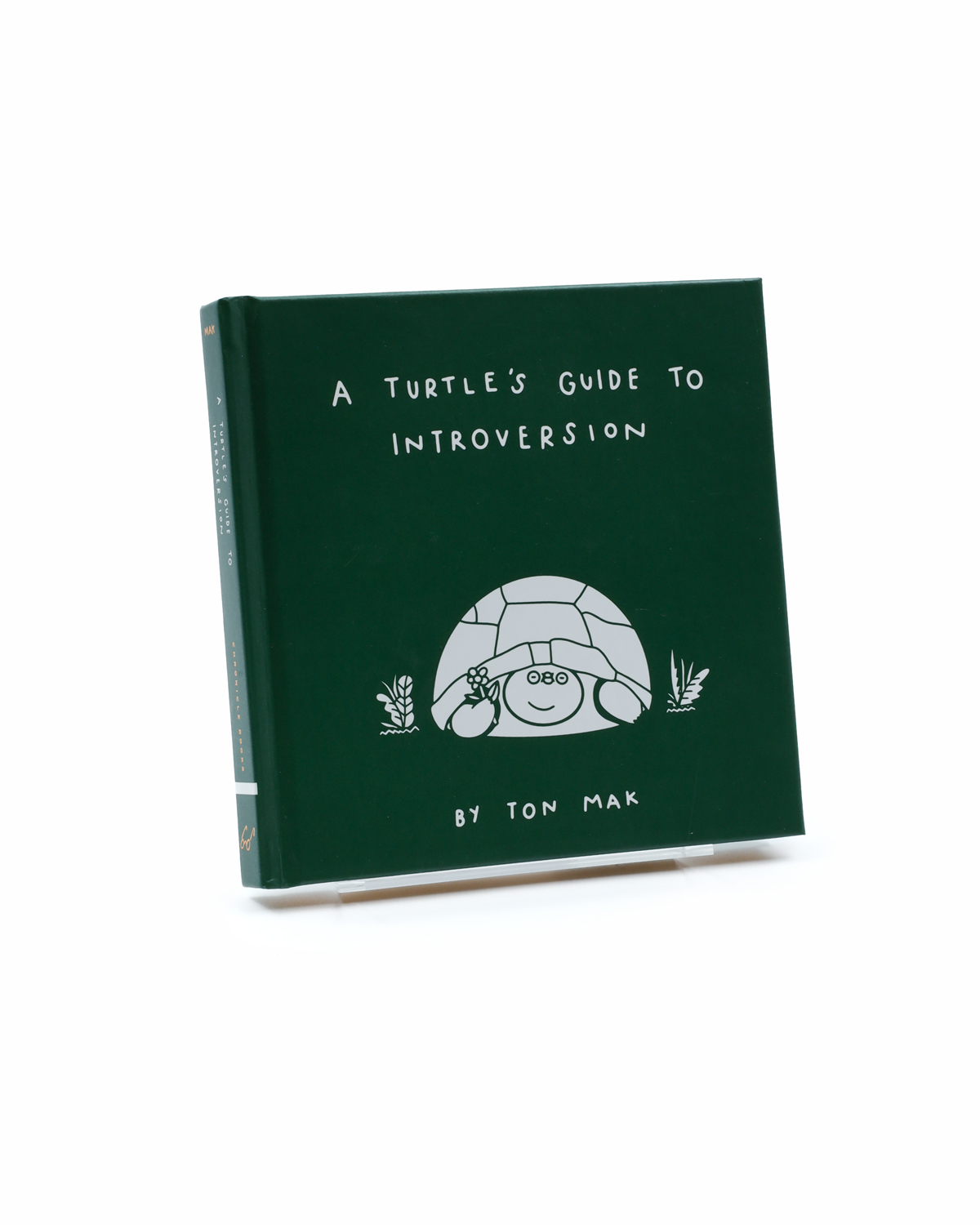 A Turtle's Guide to Introversion