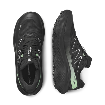 Ultra Flow GTX 2 Shoe