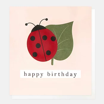 Happy Birthday Ladybird & Leaf On Pink, Greeting Card