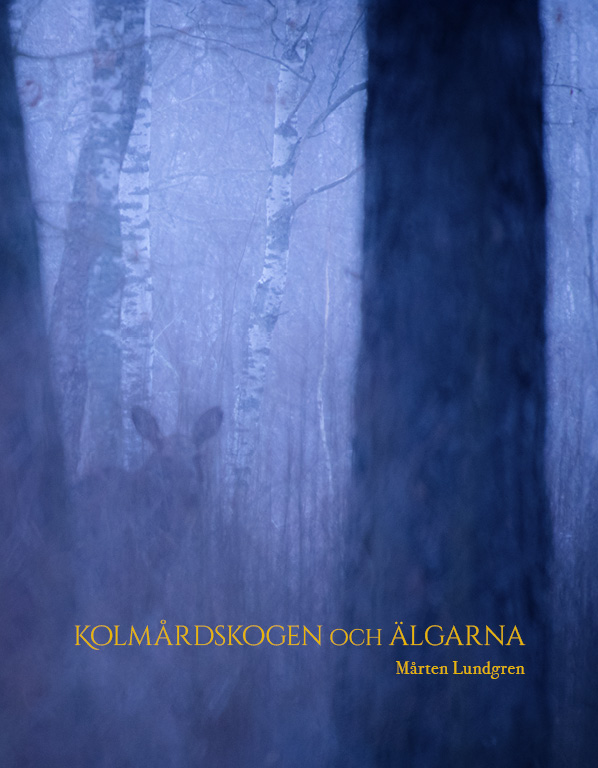 Mårten Lundgren - Kolmårdsskogen och älgarna