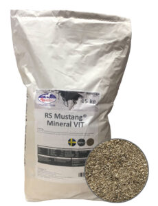 RS Mustang Mineral VIT