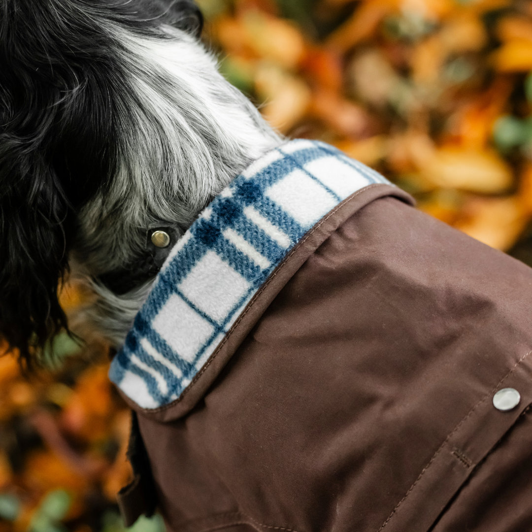 HORSEWARE NEWMARKET HERITAGE DOG COAT  - 10