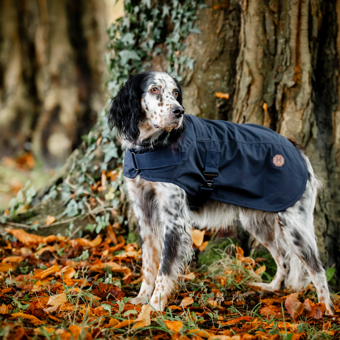 HORSEWARE NEWMARKET HERITAGE DOG COAT  - 14