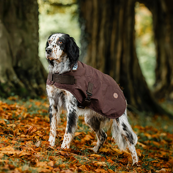 HORSEWARE NEWMARKET HERITAGE DOG COAT 