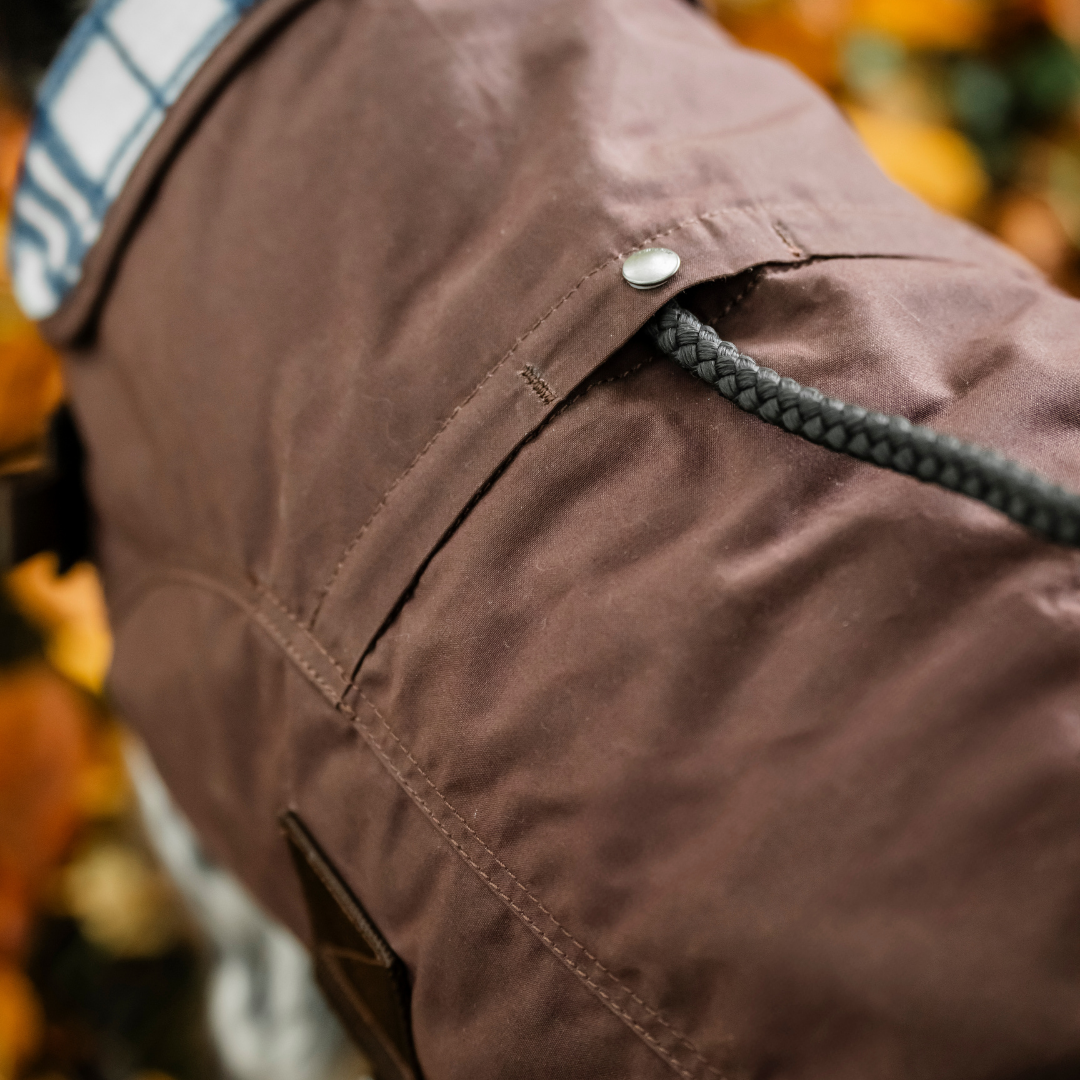 HORSEWARE NEWMARKET HERITAGE DOG COAT  - 6