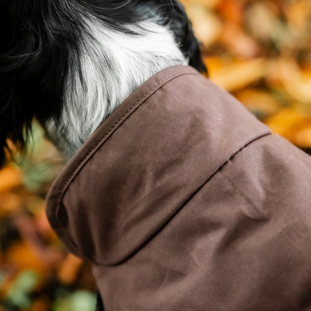 HORSEWARE NEWMARKET HERITAGE DOG COAT  - 9