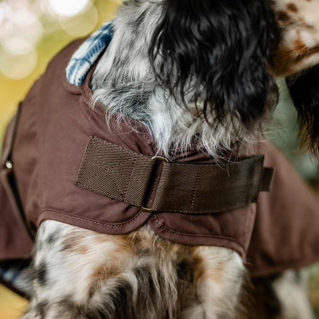 HORSEWARE NEWMARKET HERITAGE DOG COAT  - 8