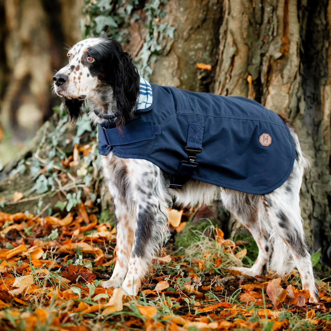 HORSEWARE NEWMARKET HERITAGE DOG COAT  - 5