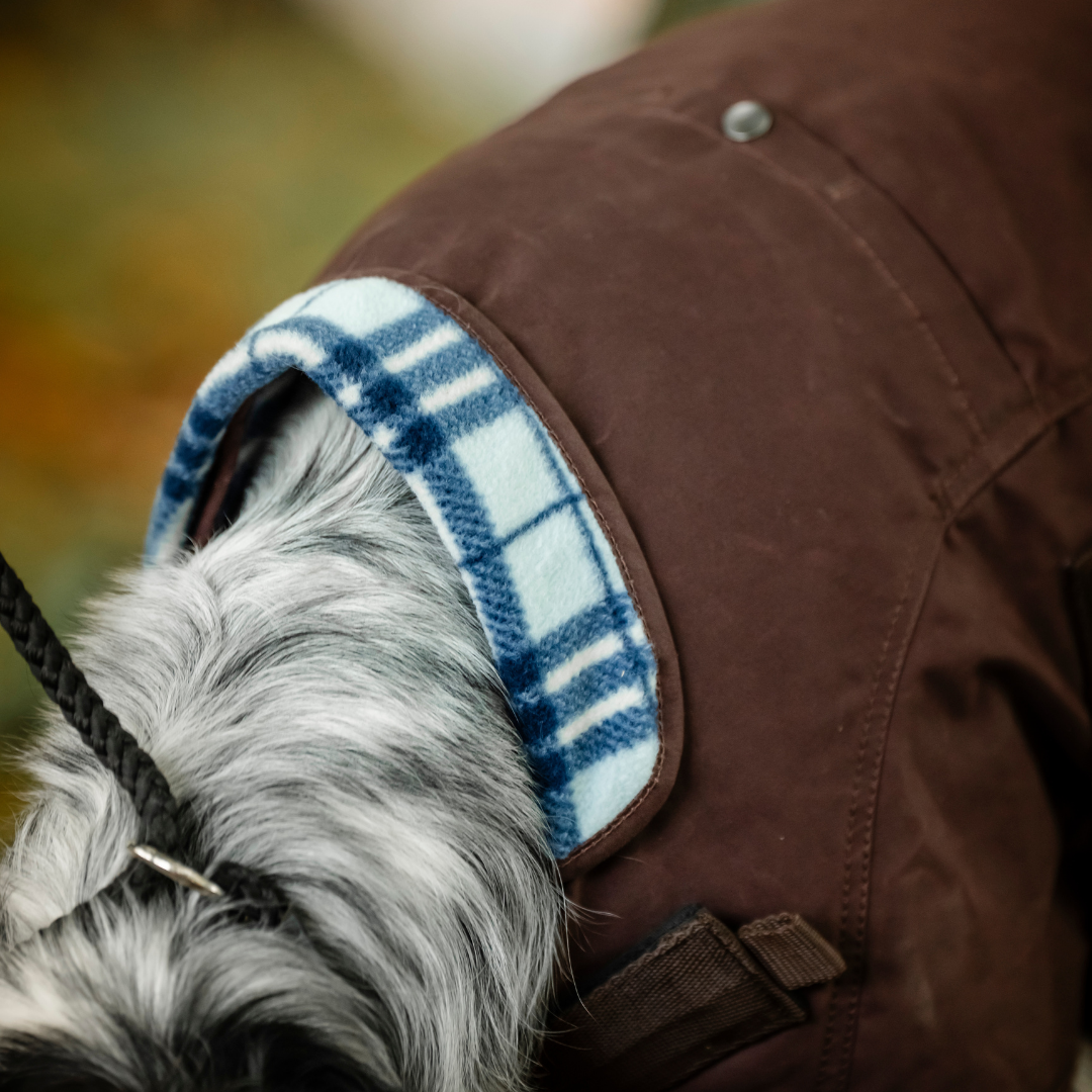 HORSEWARE NEWMARKET HERITAGE DOG COAT  - 7