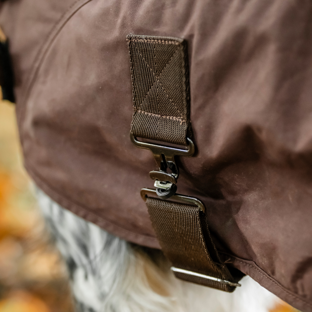 HORSEWARE NEWMARKET HERITAGE DOG COAT  - 12
