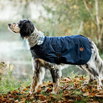 HORSEWARE NEWMARKET HERITAGE DOG COAT 