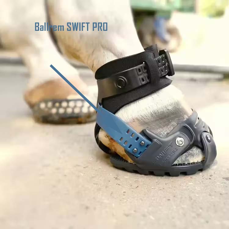 Swift PRO Ballrem