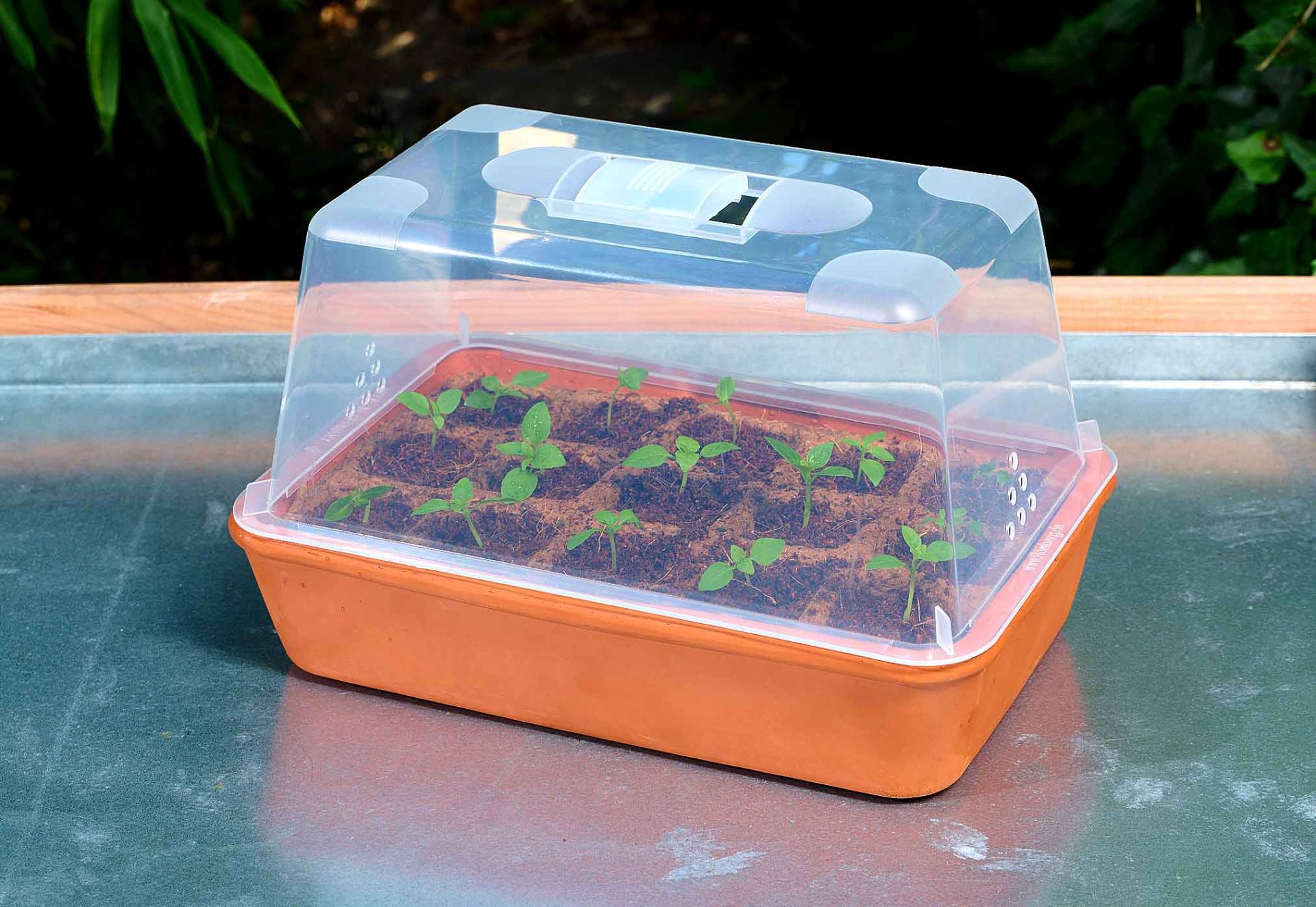 Minidrivhus PU:RE - Terrakotta Set S - Romberg - 3