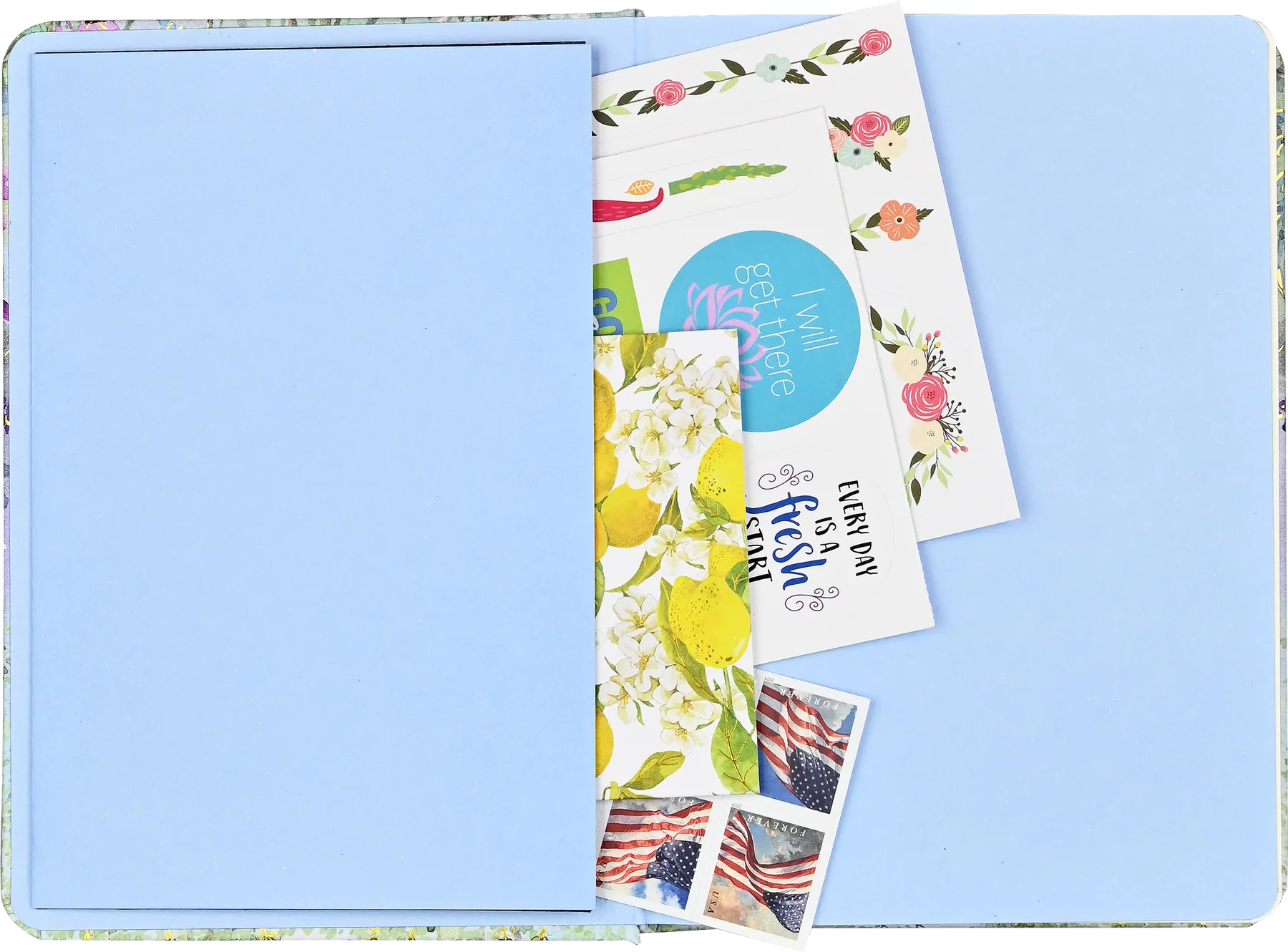Dragonflies & Dandelions, Small Journal - 4