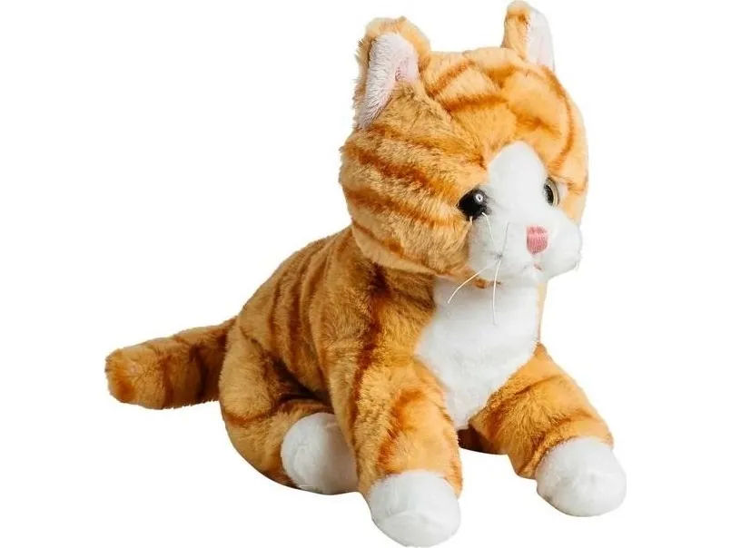 Katt Ginger gulrandig 20 cm