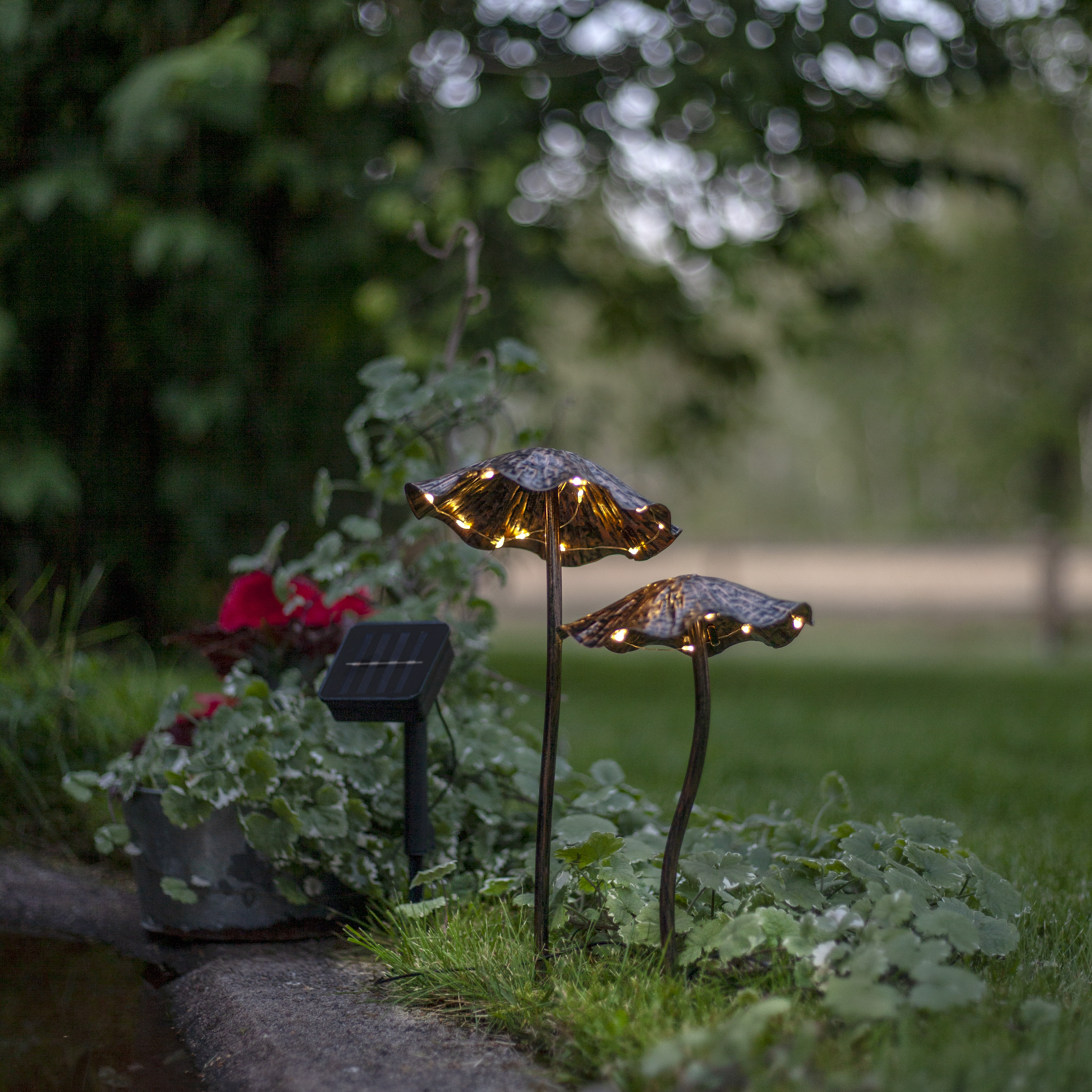 Mushrooms - Solar-powered decoration - Ø13x15 cm - 2-pack