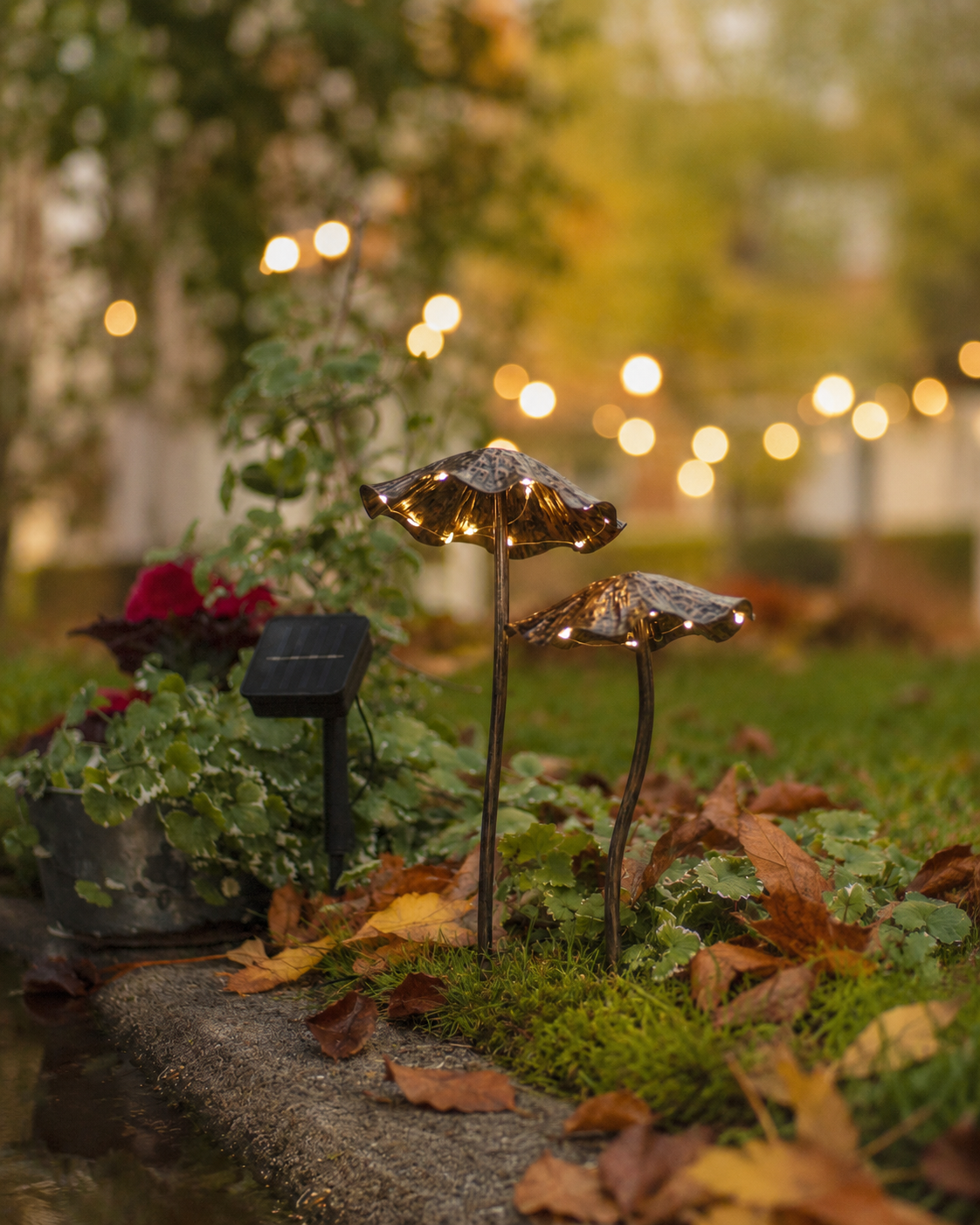 Mushrooms - Solar-powered decoration - Ø13x15 cm - 2-pack