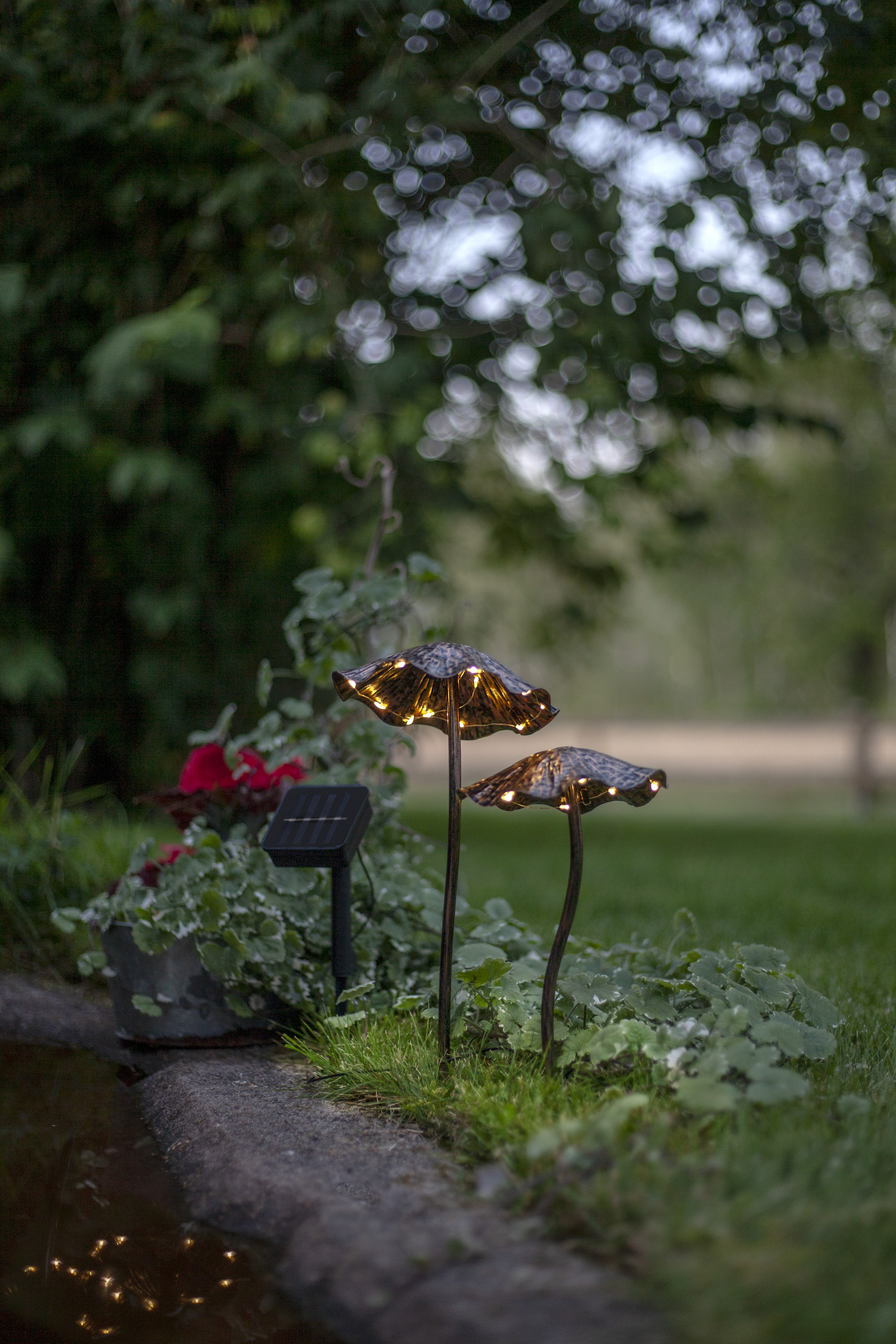 Mushrooms - Solar-powered decoration - Ø13x15 cm - 2-pack - 2