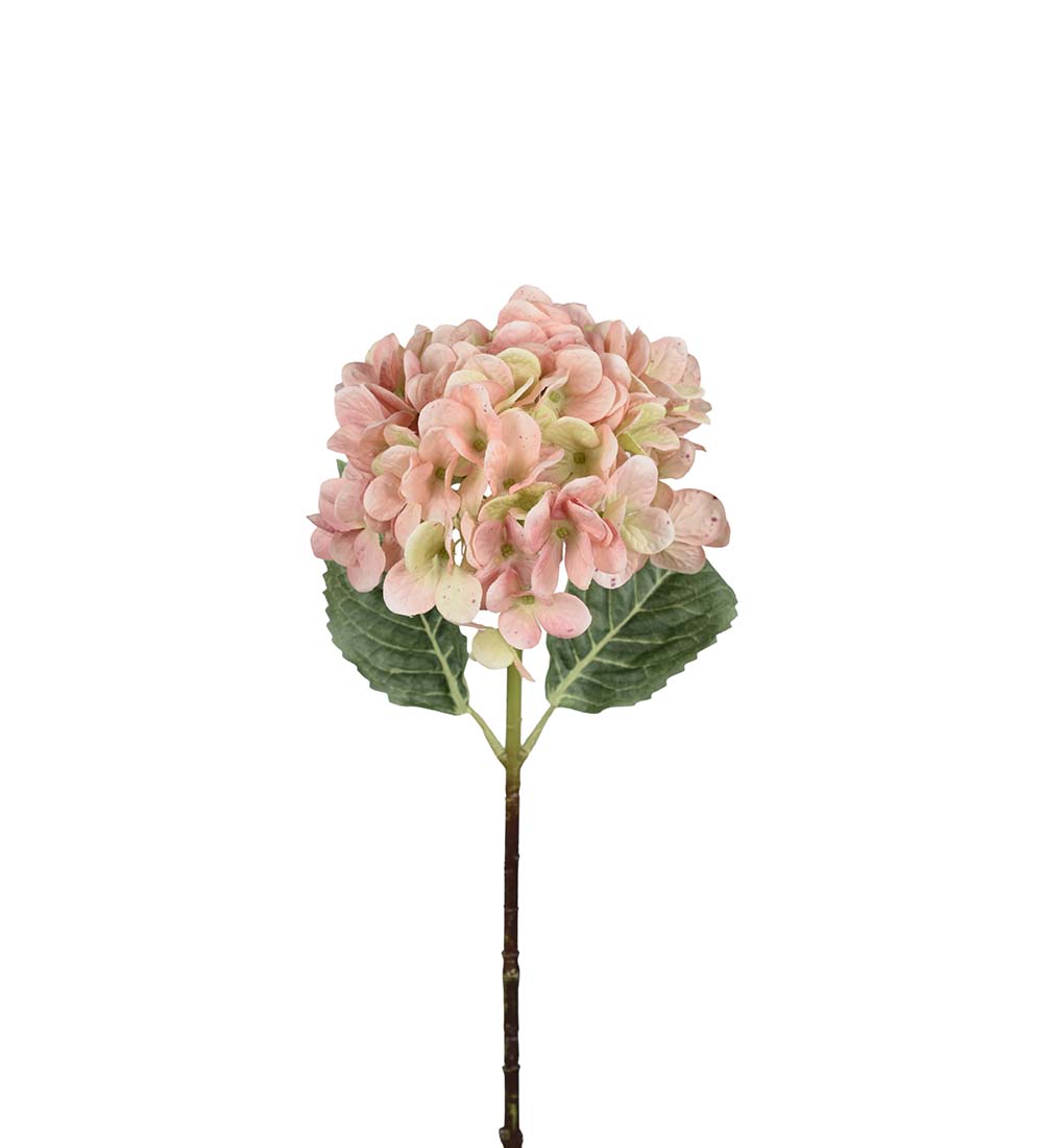 Hortensia / Rosa / 48cm