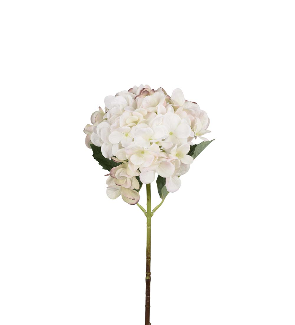 Hortensia / Cream / 48cm