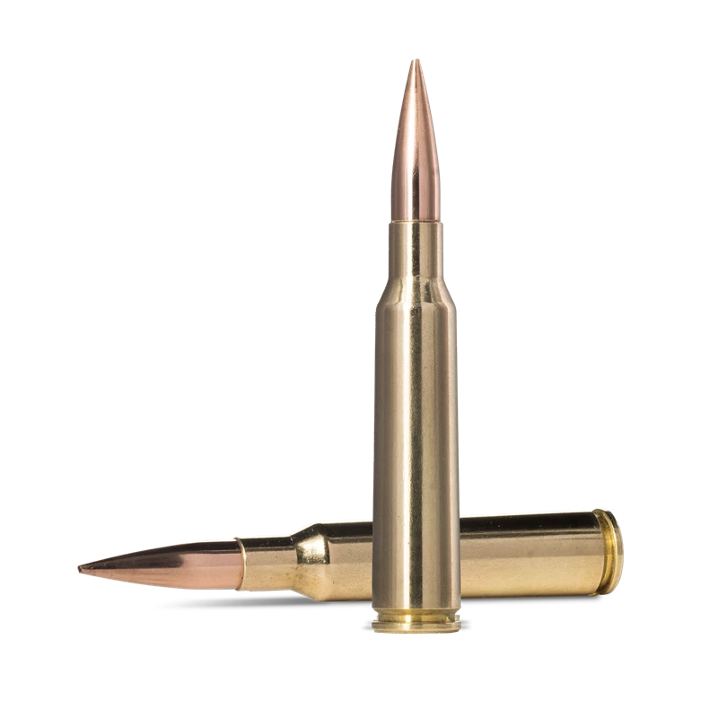  Norma Golden Target Match 6,5x55 9,27g / 143gr 2