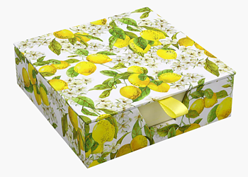 Amalfi Lemons : Desk Notes - Mycket trevlig ask med illustrerade anteckningsblad 