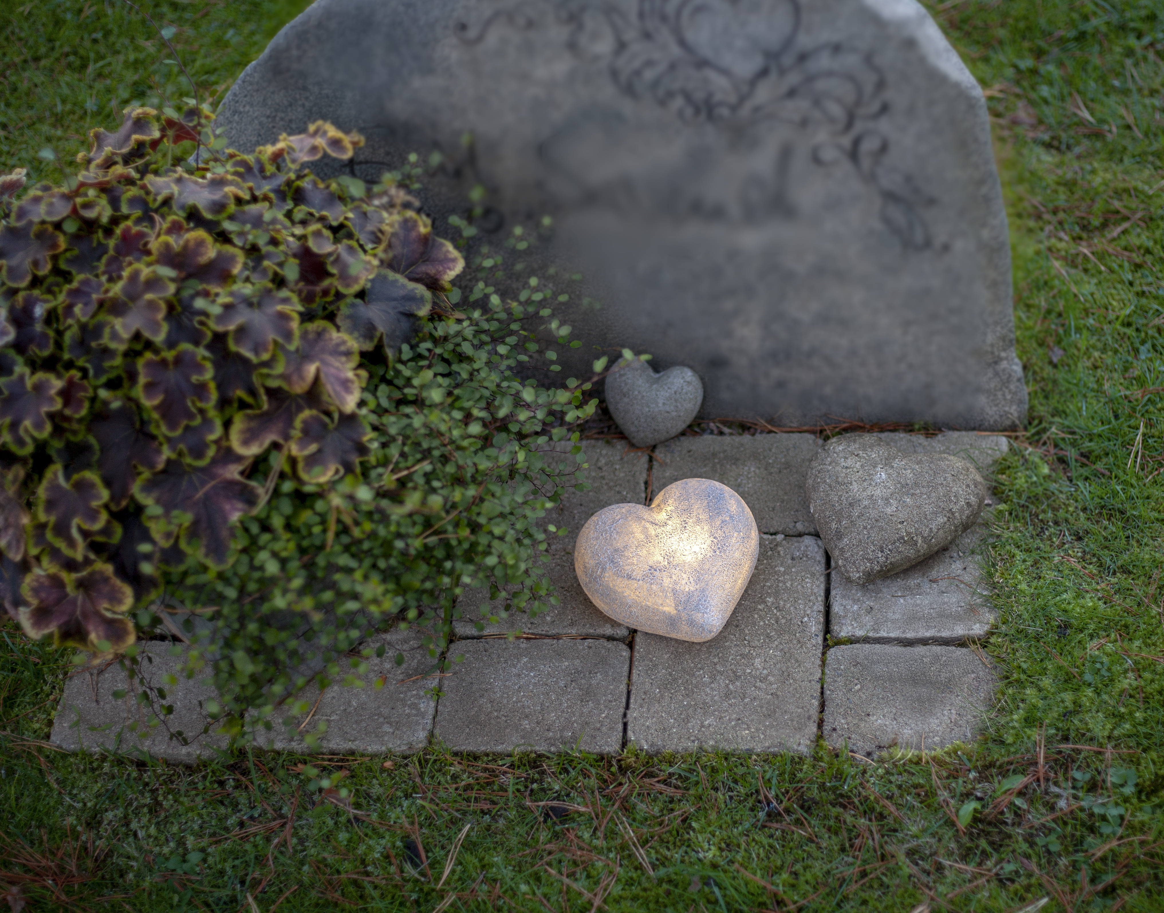 LED Gravljus - Hjärta - Heart - 7