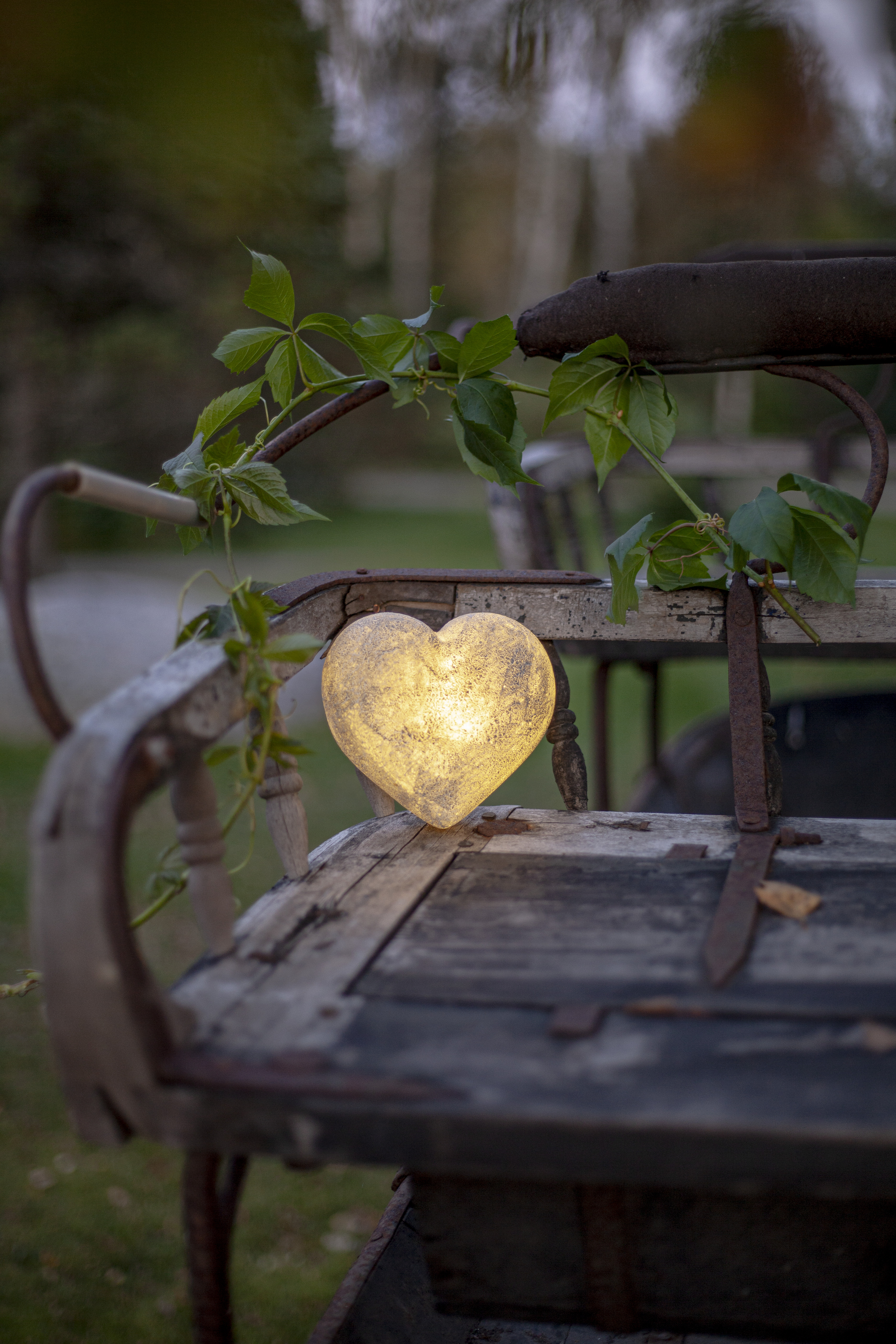 LED Gravljus - Hjärta - Heart - 5